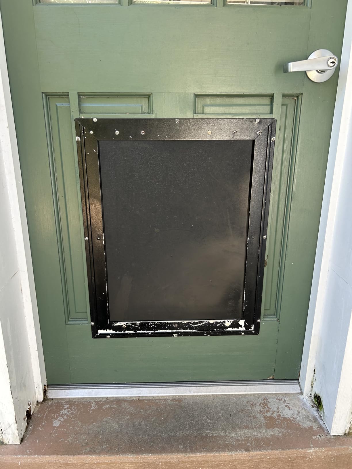 PetSafe Extreme Weather Aluminum Dog Door, 3-Flap Insulated, Large customer photo 2