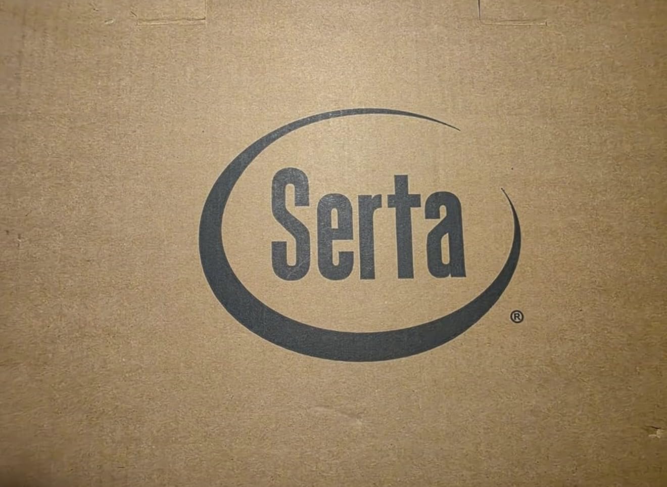 Serta Goose Feather Down Fiber Comforter Queen Size - 100% Cotton Cover Duvet Insert - Hotel Luxury Hypoallergenic Bedding Comforter All Season Medium Warmth 90 x 90 Inch White customer photo 1