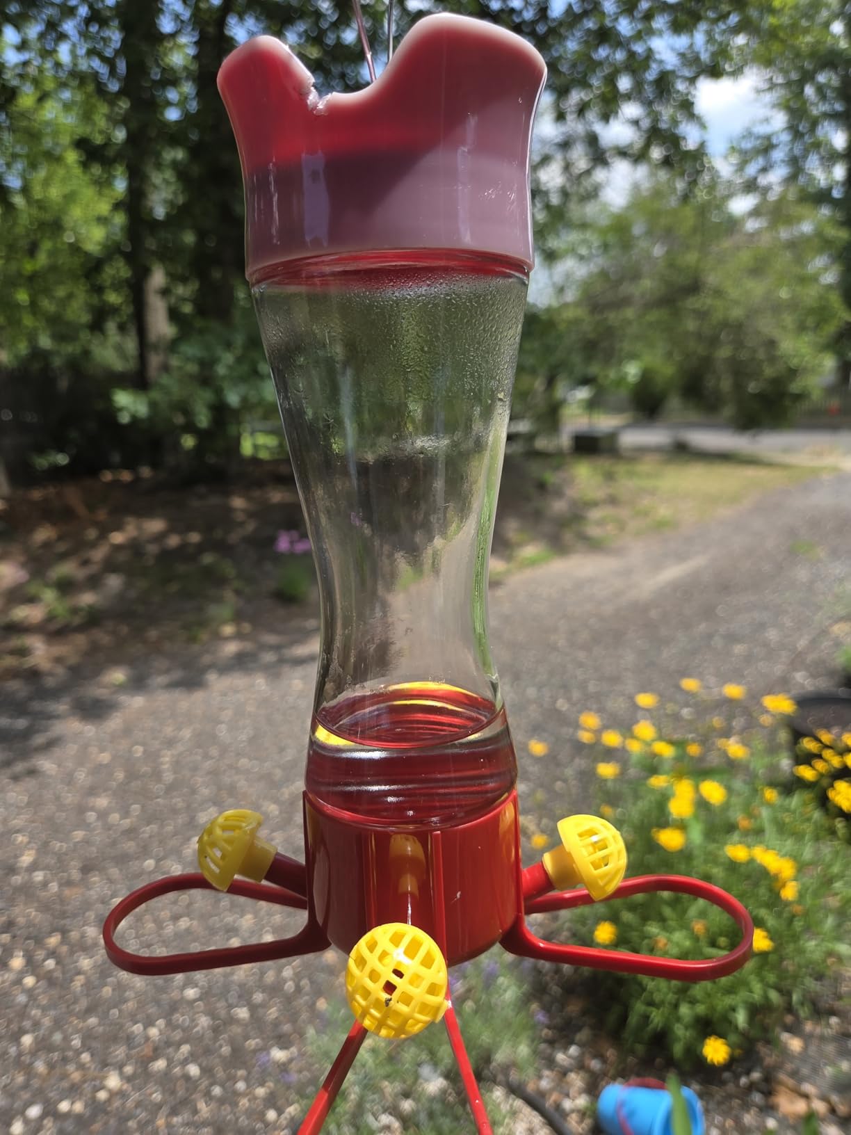 Perky-Pet Glass Hummingbird Feeders for Outdoors, 8 oz Nectar Capacity | Ant Moat, Bee Guards, & Perches, Wide-Mouth Bottle for Easy Filling & Cleaning, Hanging Bird Feeder, 203CPBN-2 (Pack of 2) customer photo 2