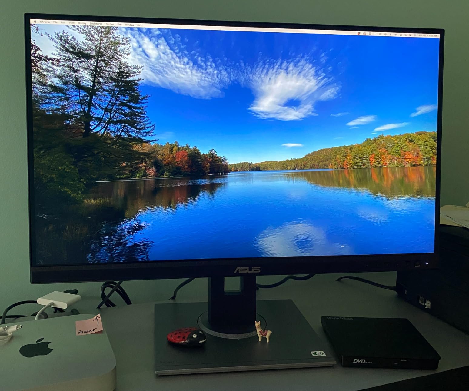 ASUS ProArt PA278QV 27 Inch 1440p QHD Professional Monitor customer photo 2