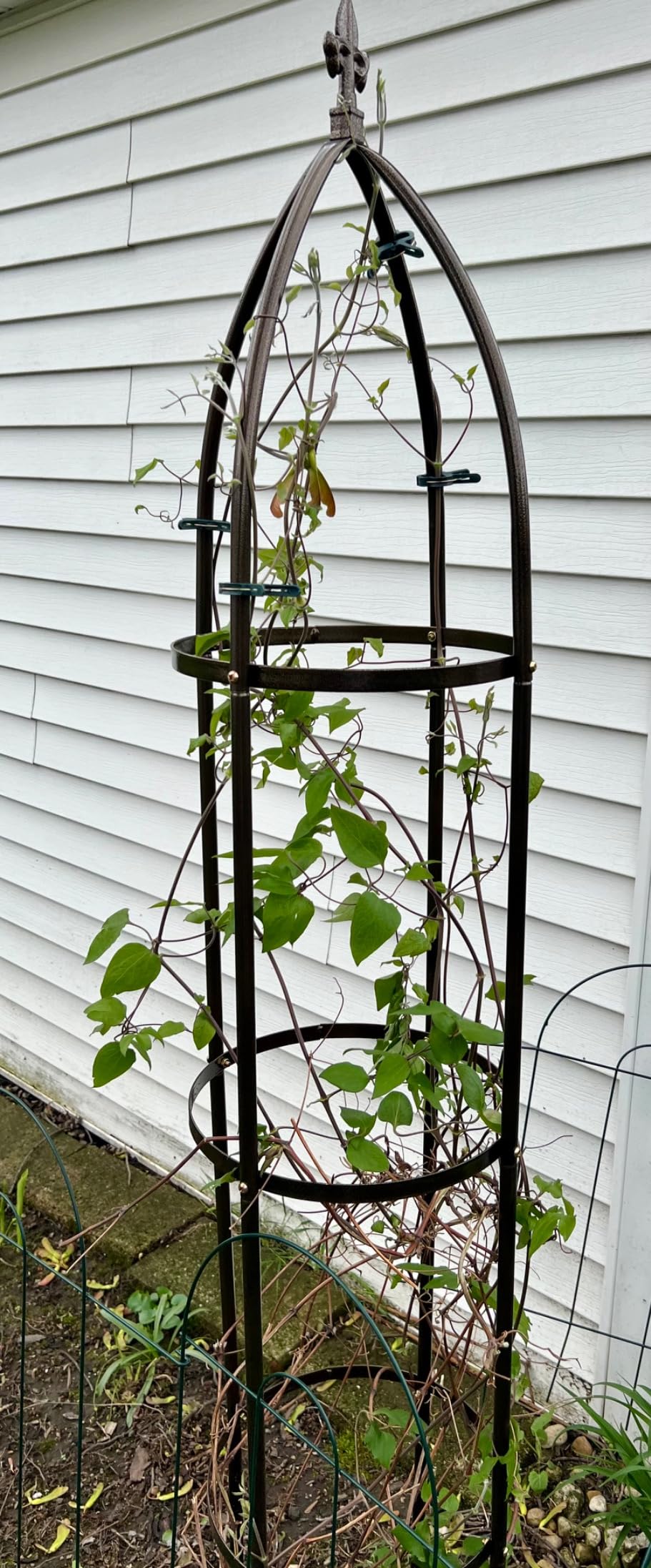 Garden Arch Trellis for Climbing Plants Rose Thicken Metal Wedding Arches Arbor Ceremony Party Outdoor Floral Decor Bronze customer photo 1