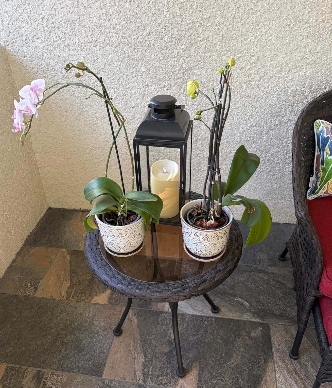 Gepege Ceramic Plant Pots, 6 Inch Indoor Planters with Drainage & Saucers customer photo 1