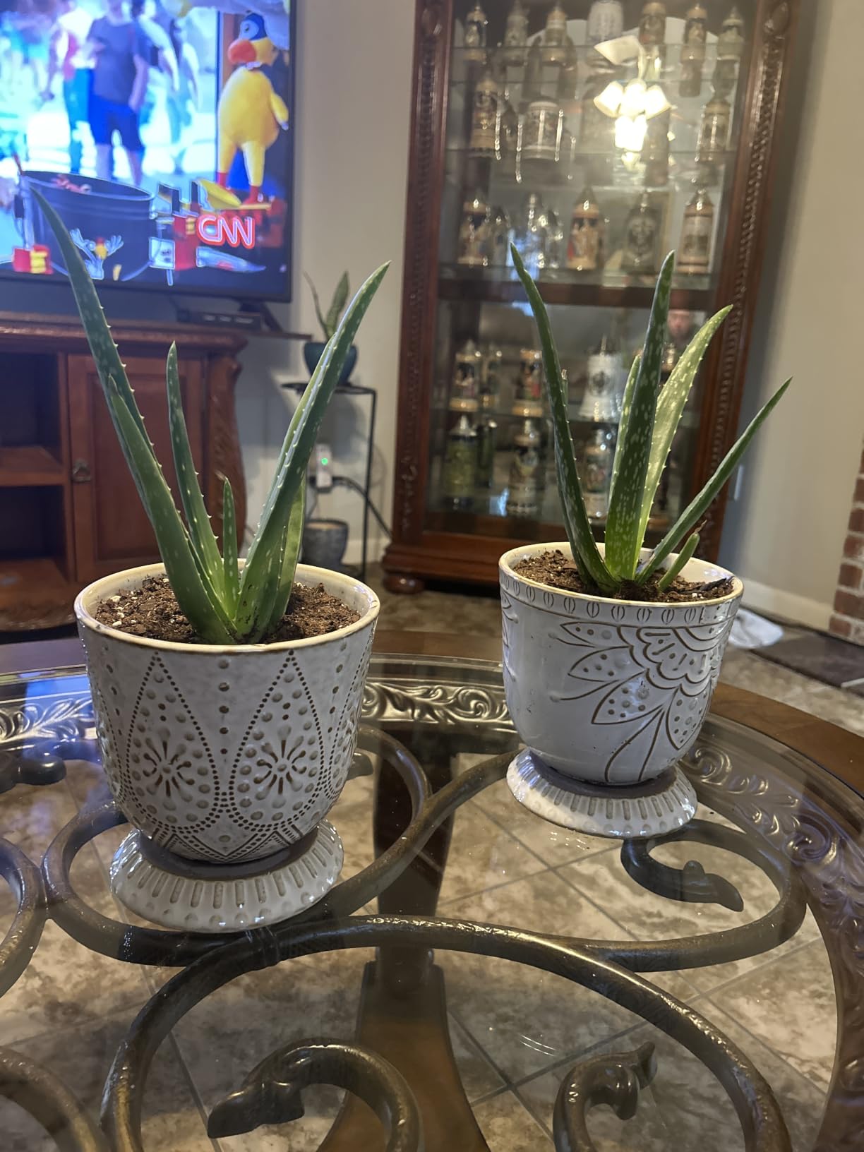 Gepege Ceramic Plant Pots, 6 Inch Indoor Planters with Drainage & Saucers customer photo 2