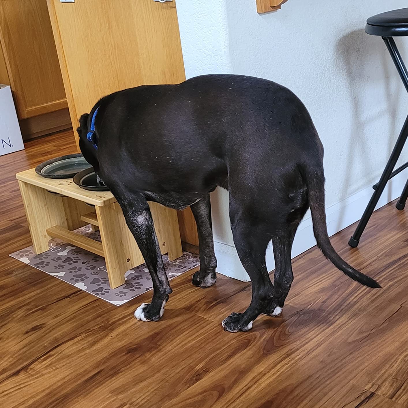 HTB Elevated Dog Bowls,Raised Dog Bowl Stand with 2 Stainless Steel Bowls,Elevated Raised Dog Bowls for Large Medium Small Sized Dogs customer photo 2