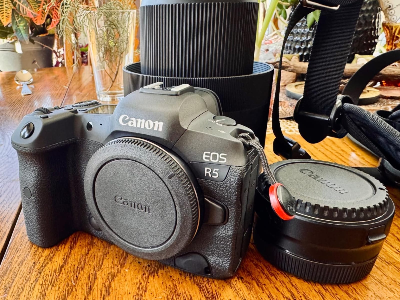 Canon EOS R5 Mirrorless Camera (Body Only), Full-Frame Hybrid Camera, 8K Video, 45 Megapixel CMOS Sensor, DIGIC X Image Processor, Up to 12 FPS, RF Mount, Black customer photo 1