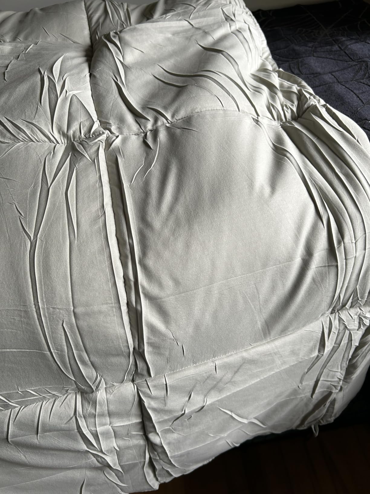 TEXARTIST Queen Comforter, All Season Down Alternative Gray Duvet Insert customer photo 2