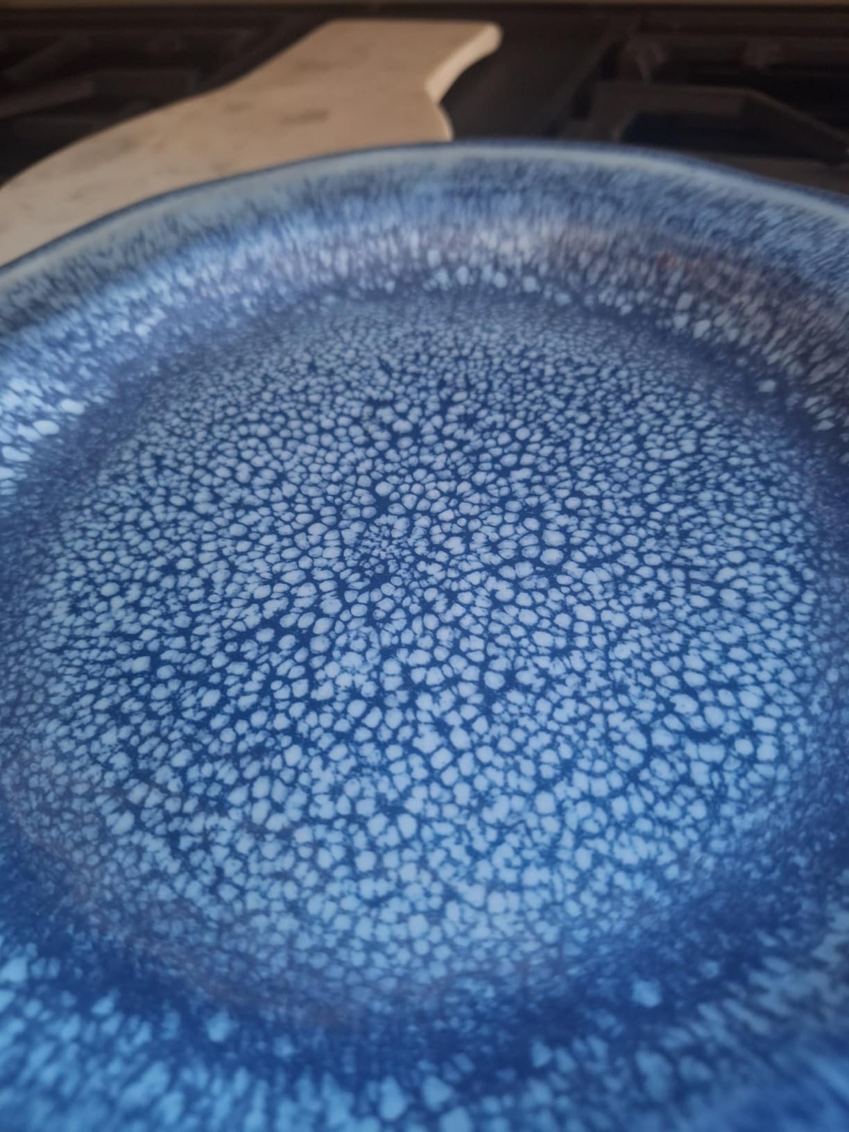 12 Pcs Blue Melamine Dinnerware Set, Shatterproof and Dishwasher Safe, Ideal for Indoor and Outdoor Use customer photo 1