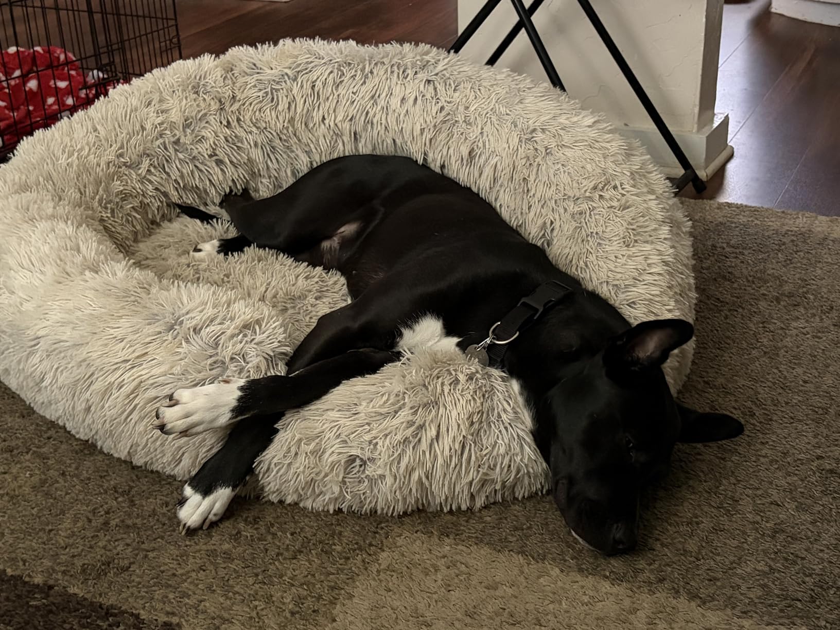 Furhaven 36