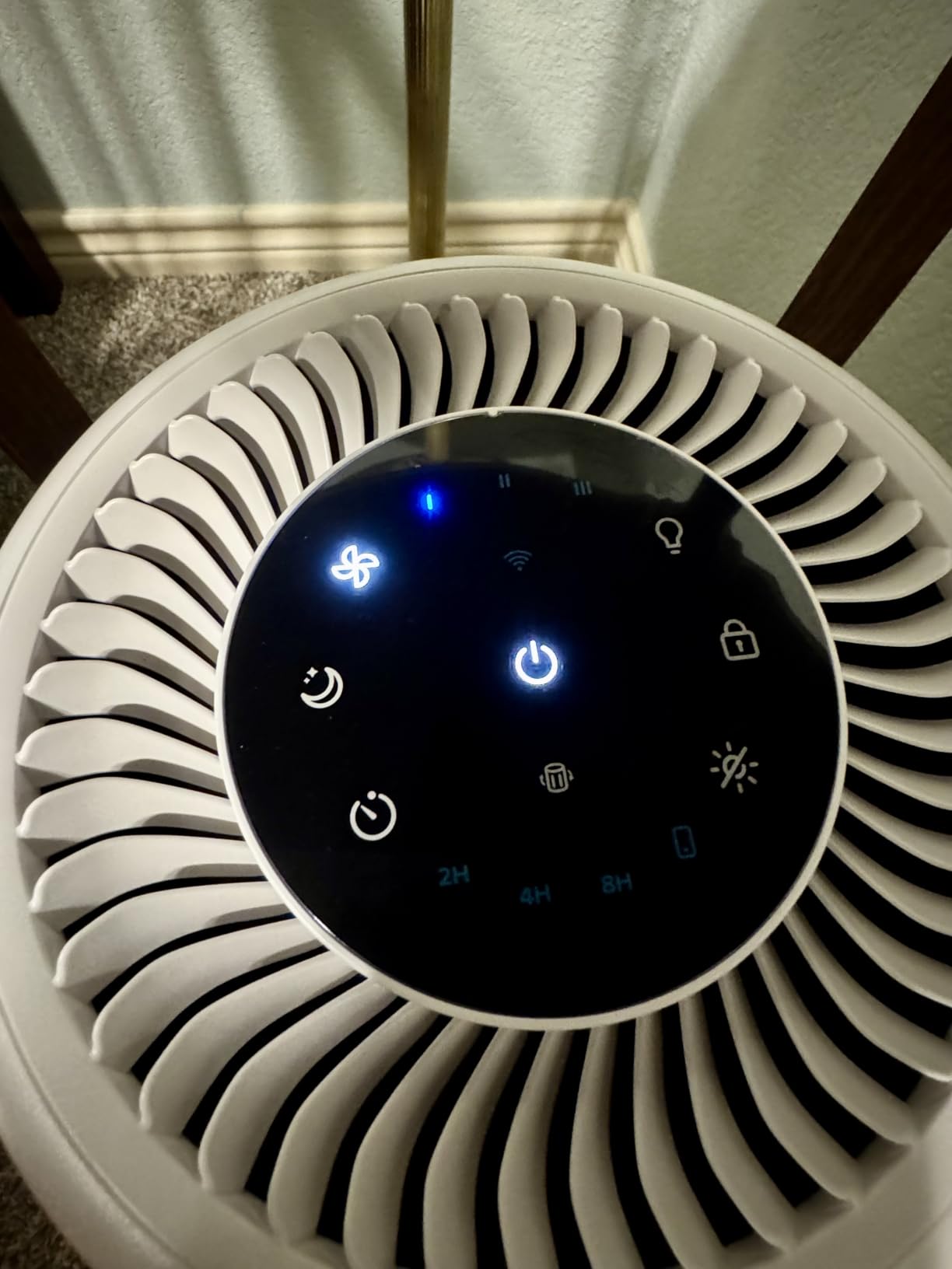 Levoit Air Purifier for Home Pets Bedroom Dorm Room, Smart & Voice Control customer photo 2