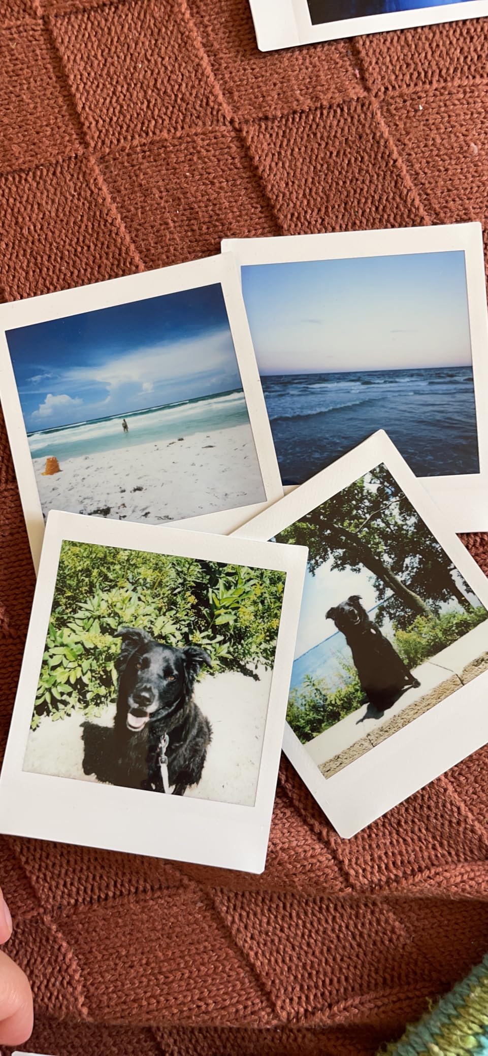 Fujifilm Instax Square SQ1 Instant Camera - Terracotta Orange customer photo 2