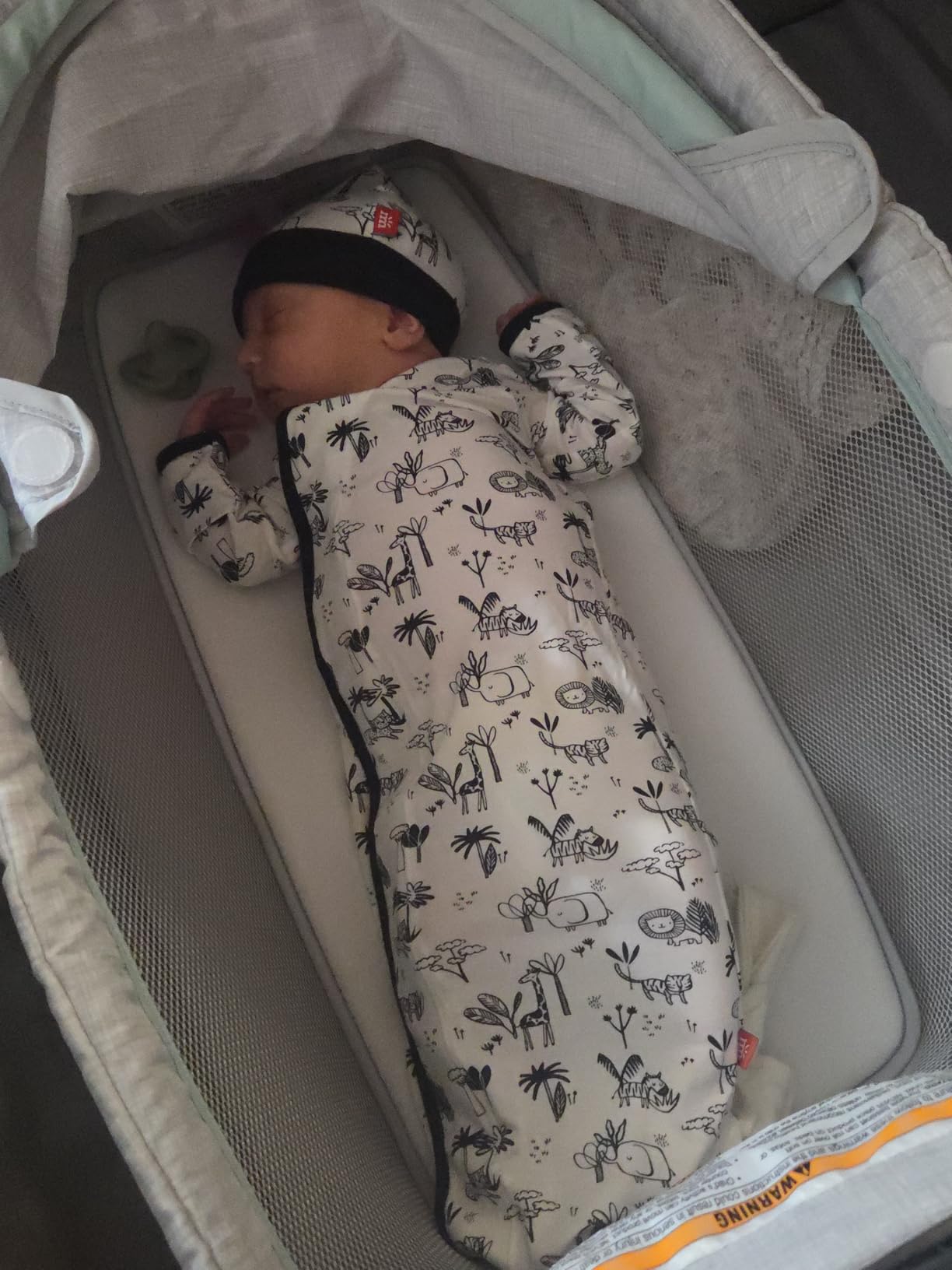Graco Pack 'n Play Day2Dream Travel Bassinet Playard Features Portable Bassinet Diaper Changer and More (Lo, Lo) customer photo 1