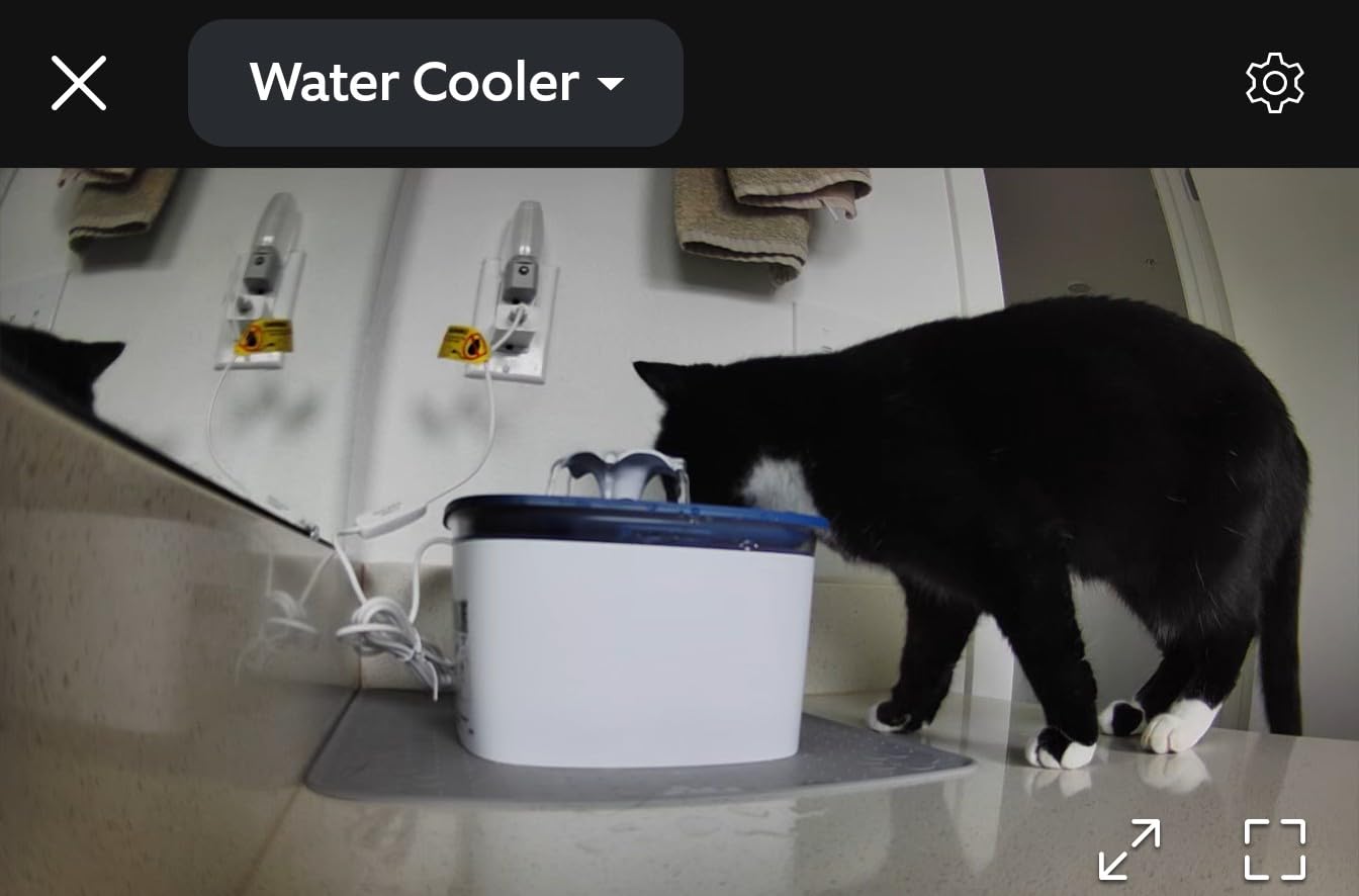 Veken Innovation Award Winner 95oz/2.8L Cat Water Fountain, C1 Classic customer photo 1