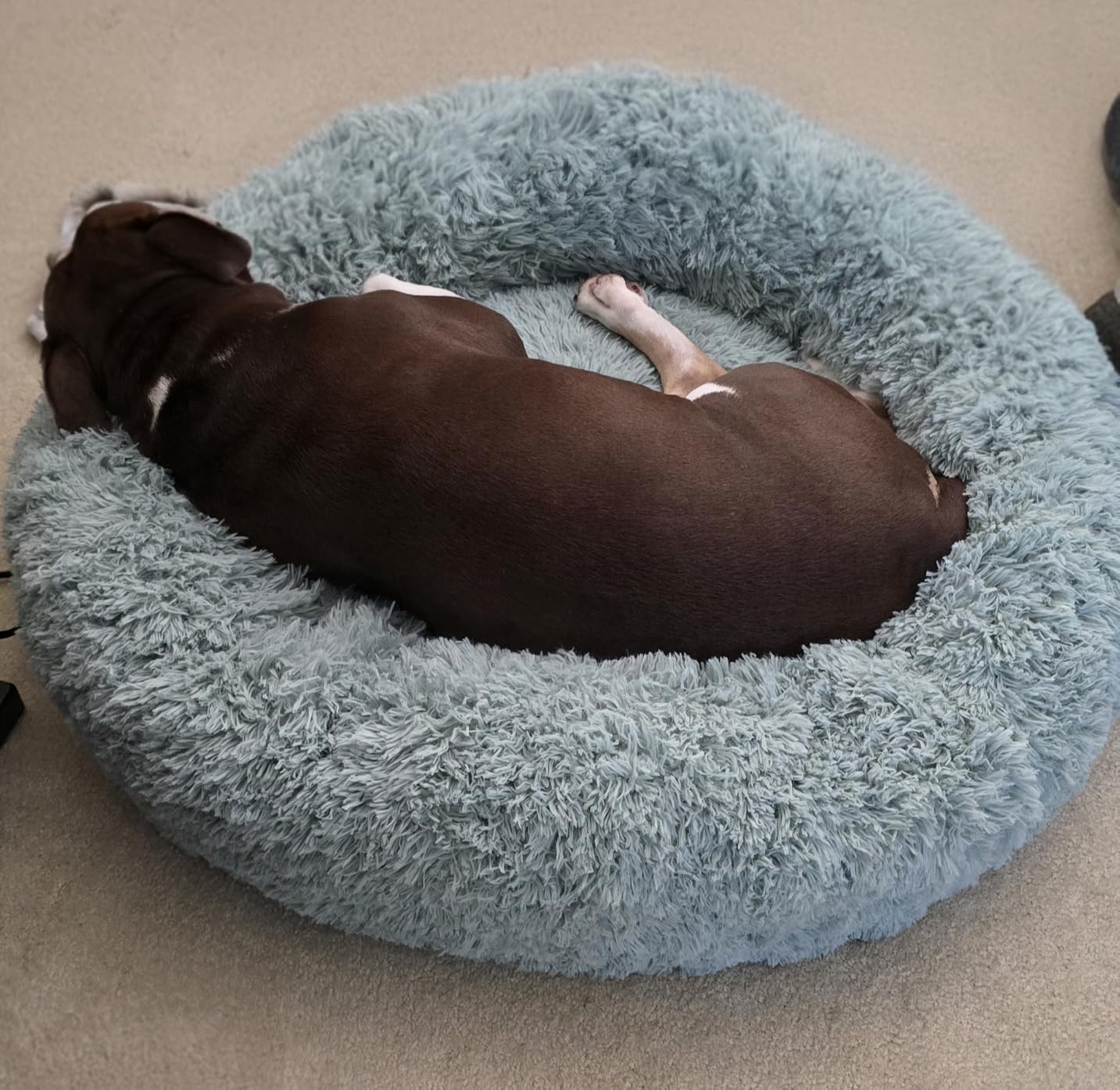 Bedsure Calming Dog Beds Large Sized Dog Donut Washable Pet Bed,36ins Camel customer photo 2
