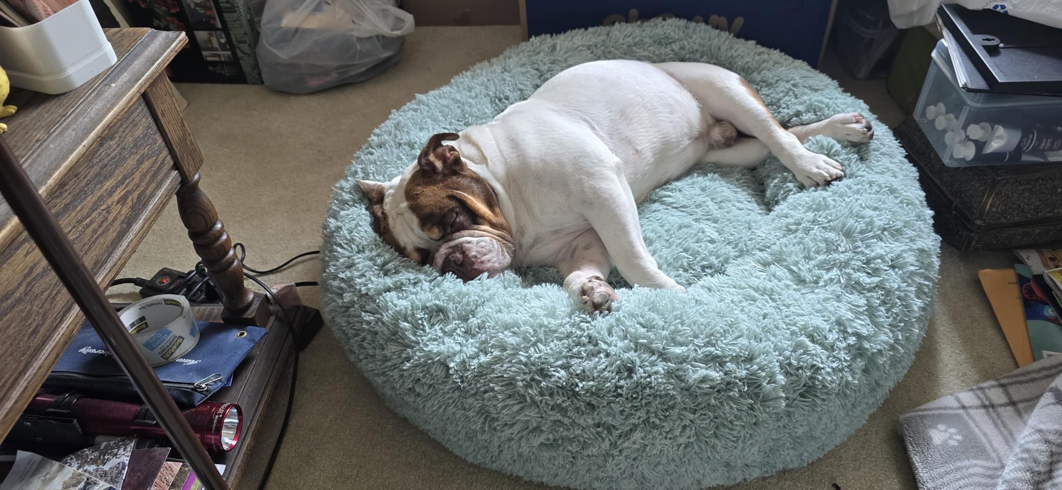 Bedsure Calming Dog Bed Medium Size Dog Donut Washable Pet Bed,30ins customer photo 1