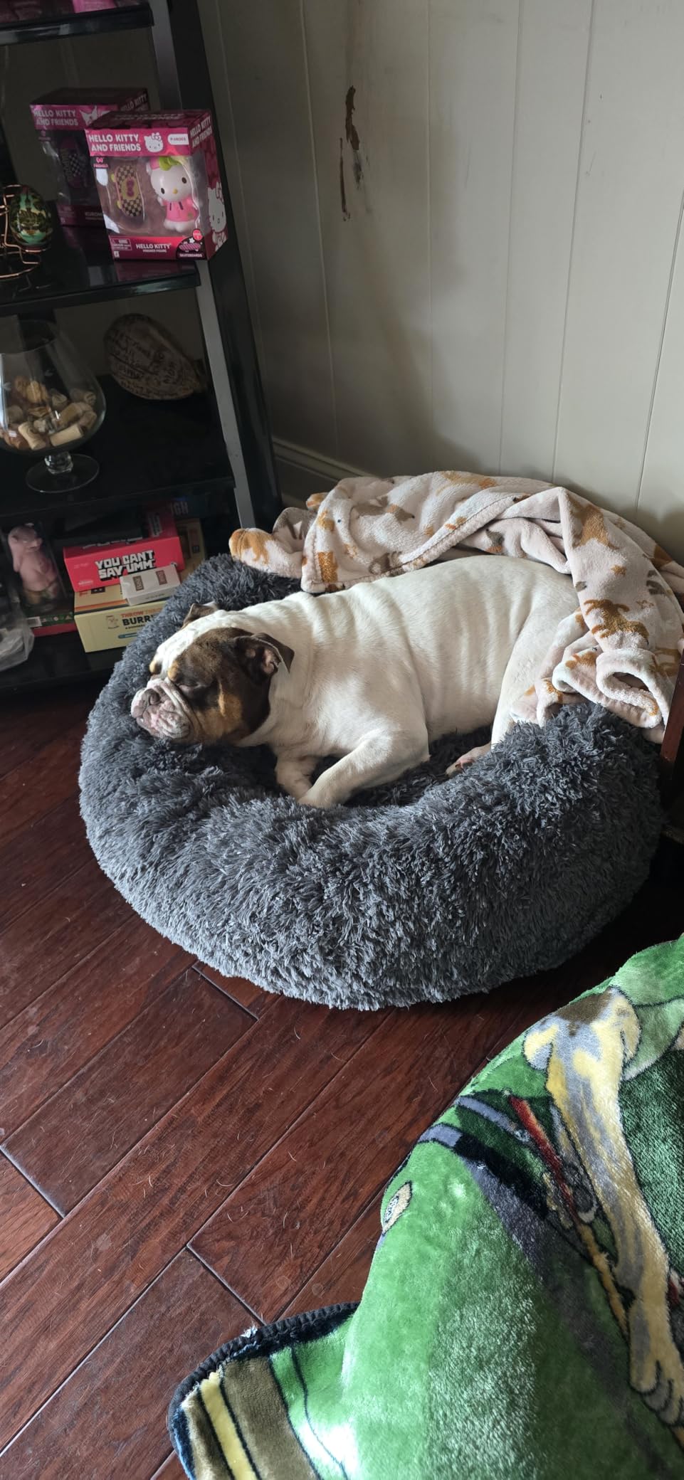 Bedsure Calming Dog Bed Medium Size Dog Donut Washable Pet Bed,30ins customer photo 2