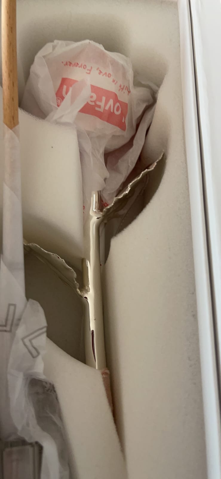 Thick Silver Dipped Rose with Crystal Vase, 25th customer photo 1