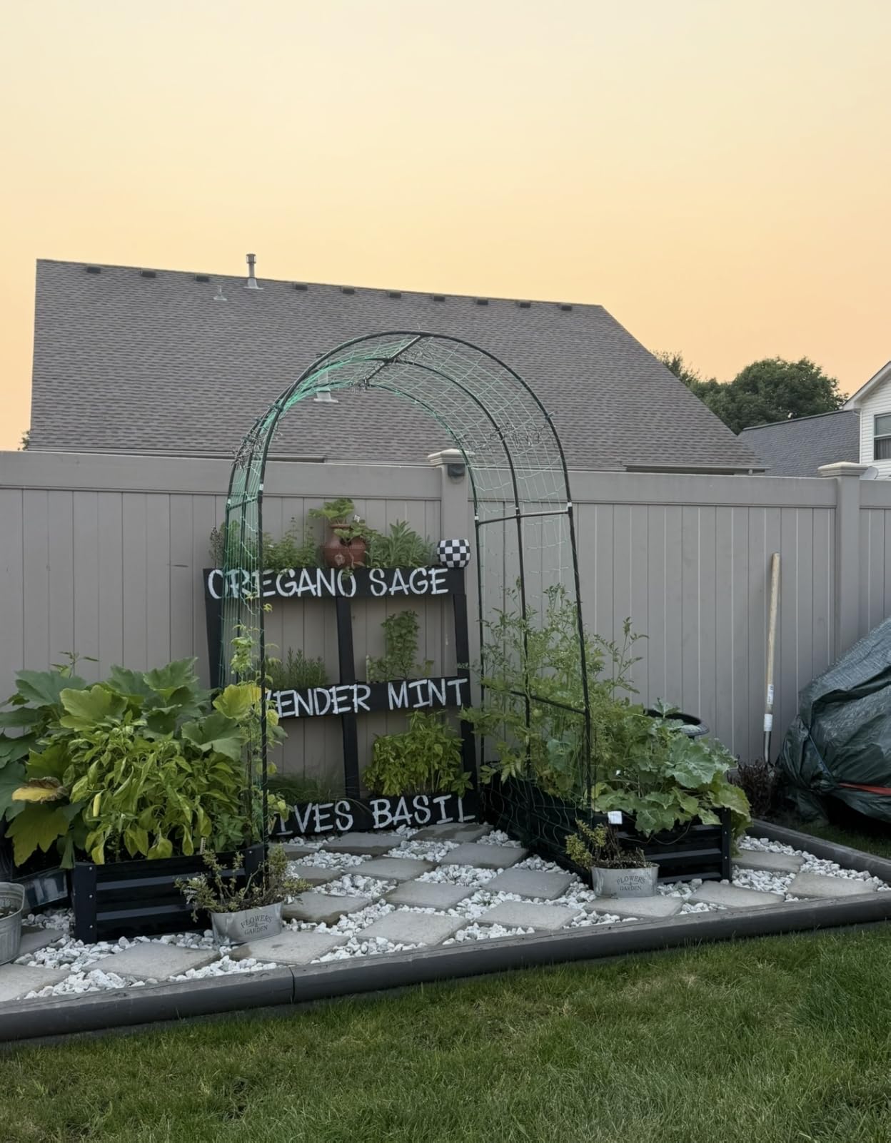 Sereniseed Certified Organic Herb Seeds 10-Pack | Non-GMO Heirloom Variety for Indoor Outdoor Culinary Gardening Gift Kit customer photo 2