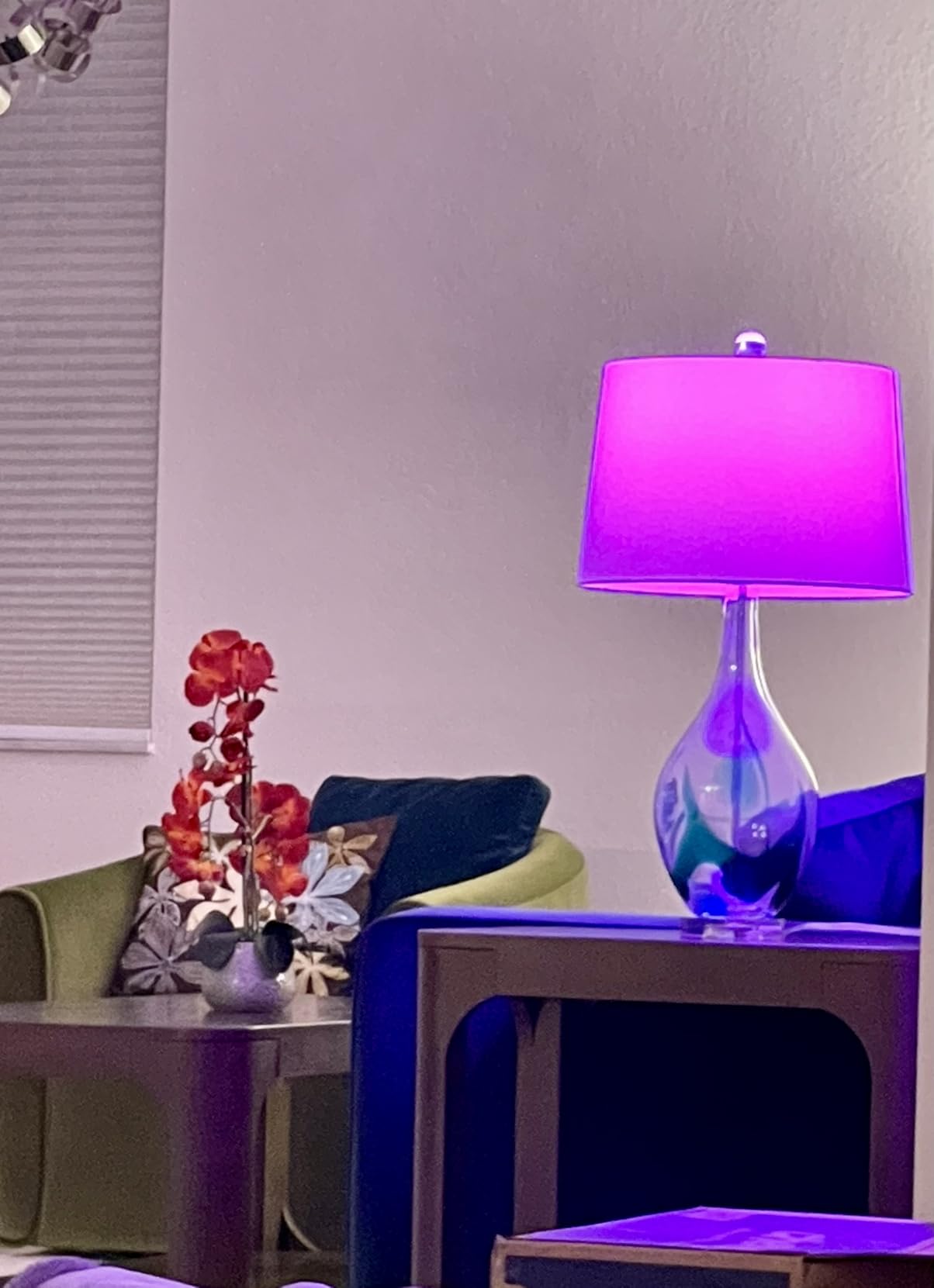 Kasa Smart Light Bulbs, Full Color Changing Dimmable Smart WiFi Bulbs Compatible with Alexa and Google Home, A19, 60 W 800 Lumens,2.4Ghz only, No Hub Required, 2-Pack (KL125P2), Multicolor customer photo 2