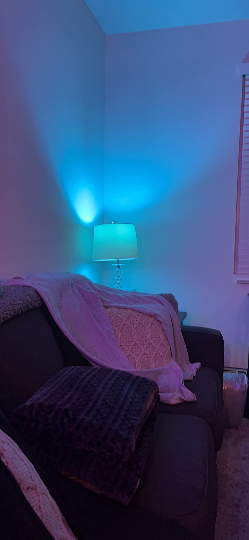 DAYBETTER Smart Light Bulbs, RGBCW Wi-Fi Color Changing Led Bulbs Compatible with Alexa & Google Home Assistant, A19 E26 9W 800LM Multicolor Bulb, No Hub Required, 6 Pack customer photo 1