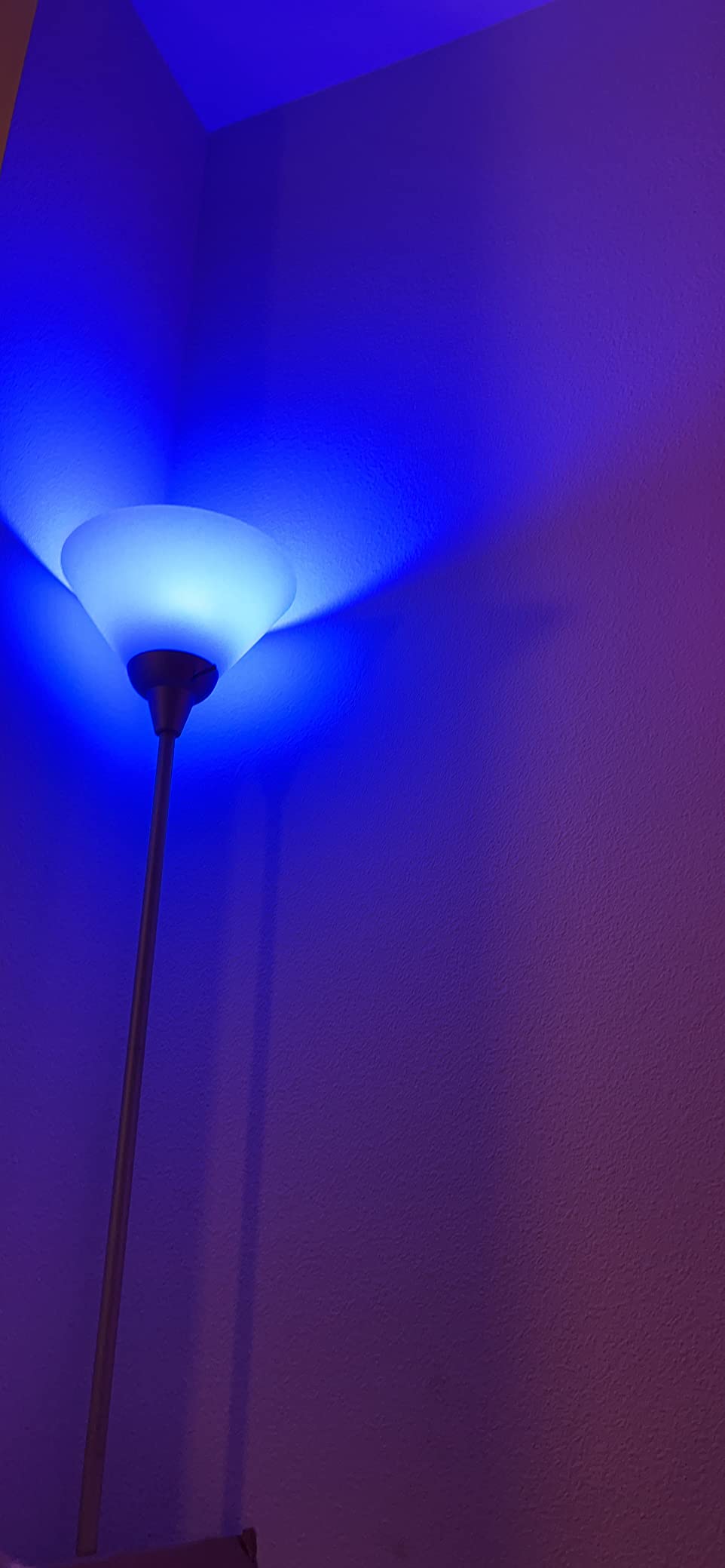 DAYBETTER Smart Light Bulbs, RGBCW Wi-Fi Color Changing Led Bulbs Compatible with Alexa & Google Home Assistant, A19 E26 9W 800LM Multicolor Bulb, No Hub Required, 6 Pack customer photo 2