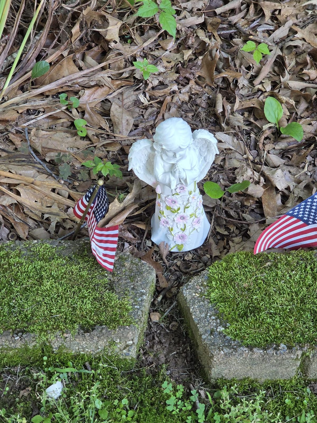 Nacome Solar Turtle Garden Statue - Succulent & 7 LED Lights, Outdoor Decor customer photo 2