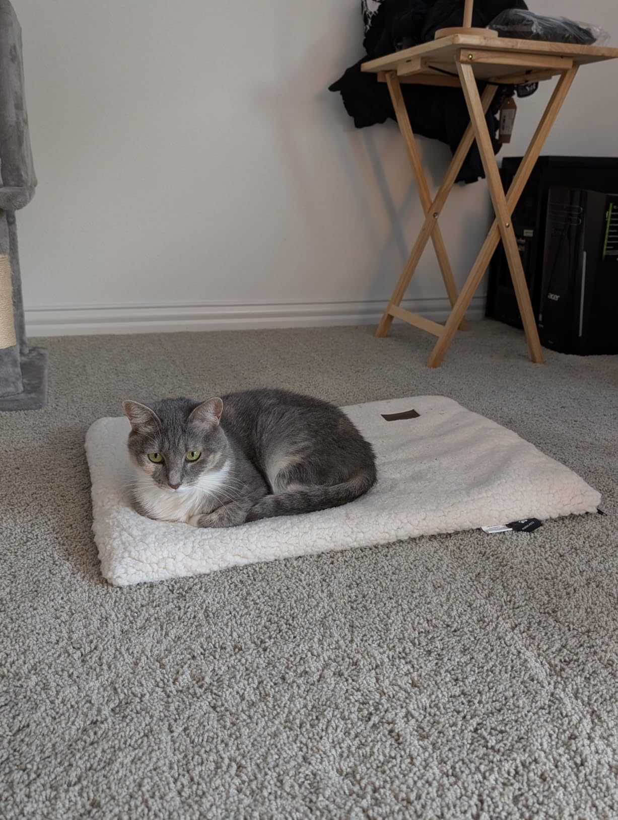 Mora Pets Self Warming Cat Bed Self Heating Cat Dog Mat Pet Pad Extra Warm customer photo 2