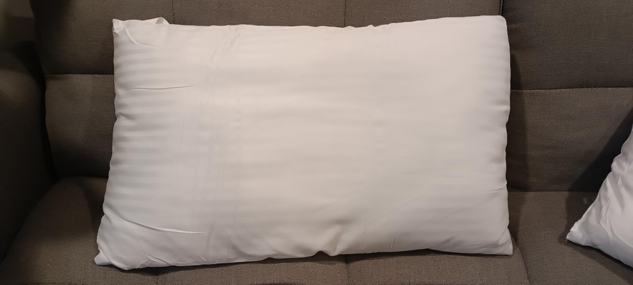 EIUE Hotel Collection Bed Pillows for Sleeping 2 Pack Queen Size,Pillows for Side and Back Sleepers,Super Soft Down Alternative Microfiber Filled Pillows,20 x 30 Inches customer photo 2