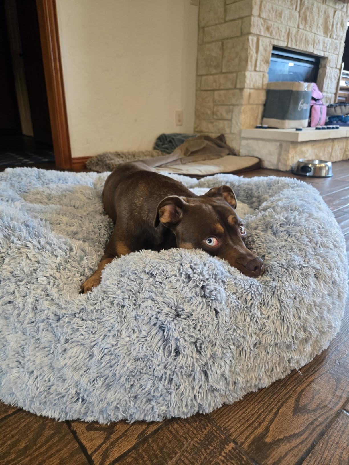 Bedfolks Calming Fluffy Donut Dog Bed for Large Dogs,Dark Grey, 36