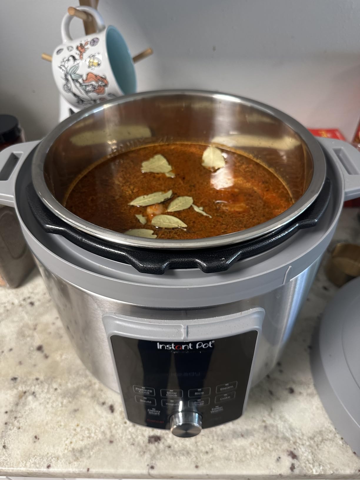 Instant Pot, 6-Quart Whisper Quiet 9-in-1 Electric Pressure Cooker, Slow Rice Steamer, Sauté, Yogurt Maker, Warmer & Sterilizer, Free App with 800+ Recipes, Stainless Steel customer photo 1