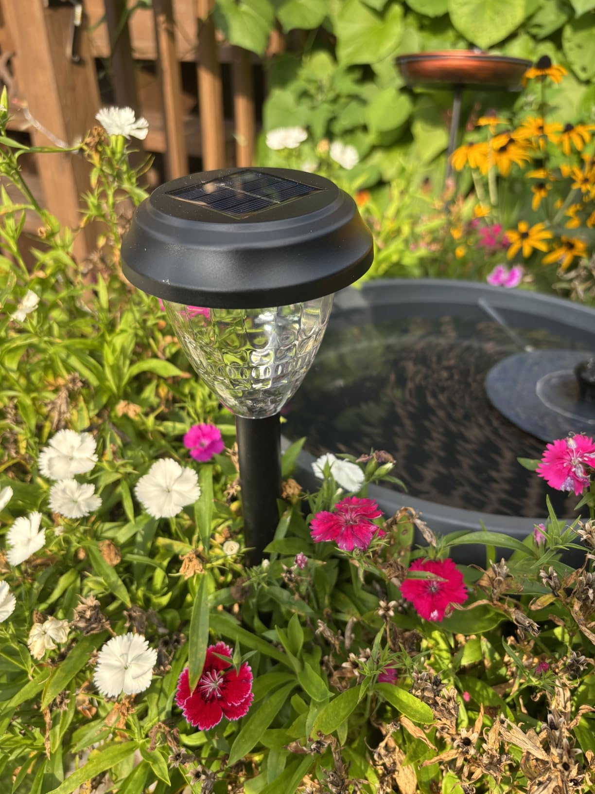 URAGO Super Bright Solar Lights Outdoor Waterproof-10 Pack, Dusk to Dawn Up to 12 Hrs Solar Powered Outdoor Pathway Garden Lights Auto On/Off, LED Landscape Lighting Decorative for Walkway Patio Yard customer photo 1