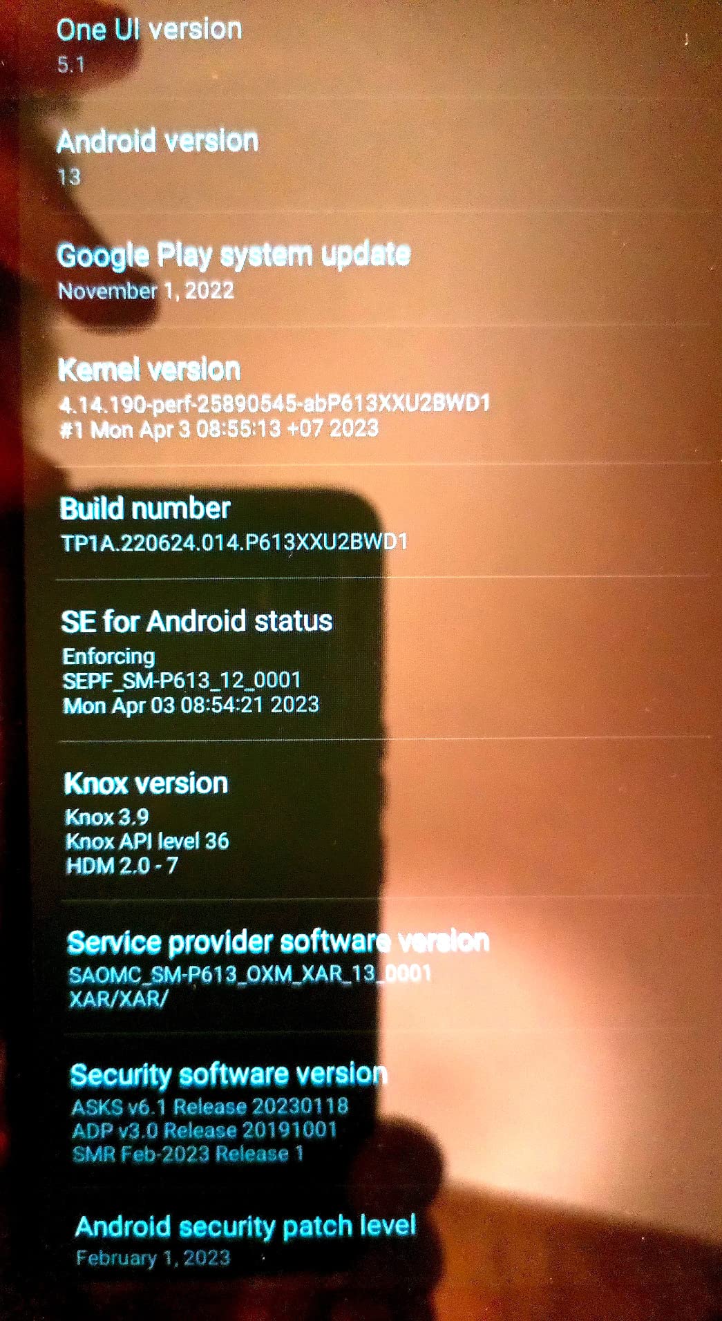 Samsung Galaxy Tab S6 Lite 10.4