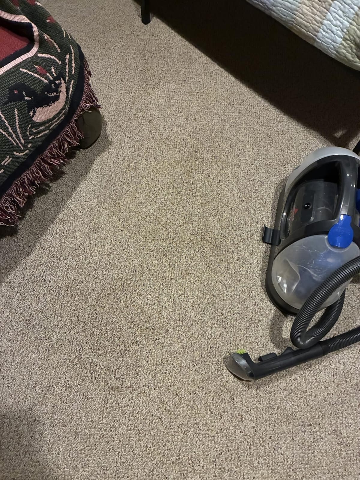 BISSELL Little Green Pet Deluxe Portable Carpet Cleaner, 3353 customer photo 2
