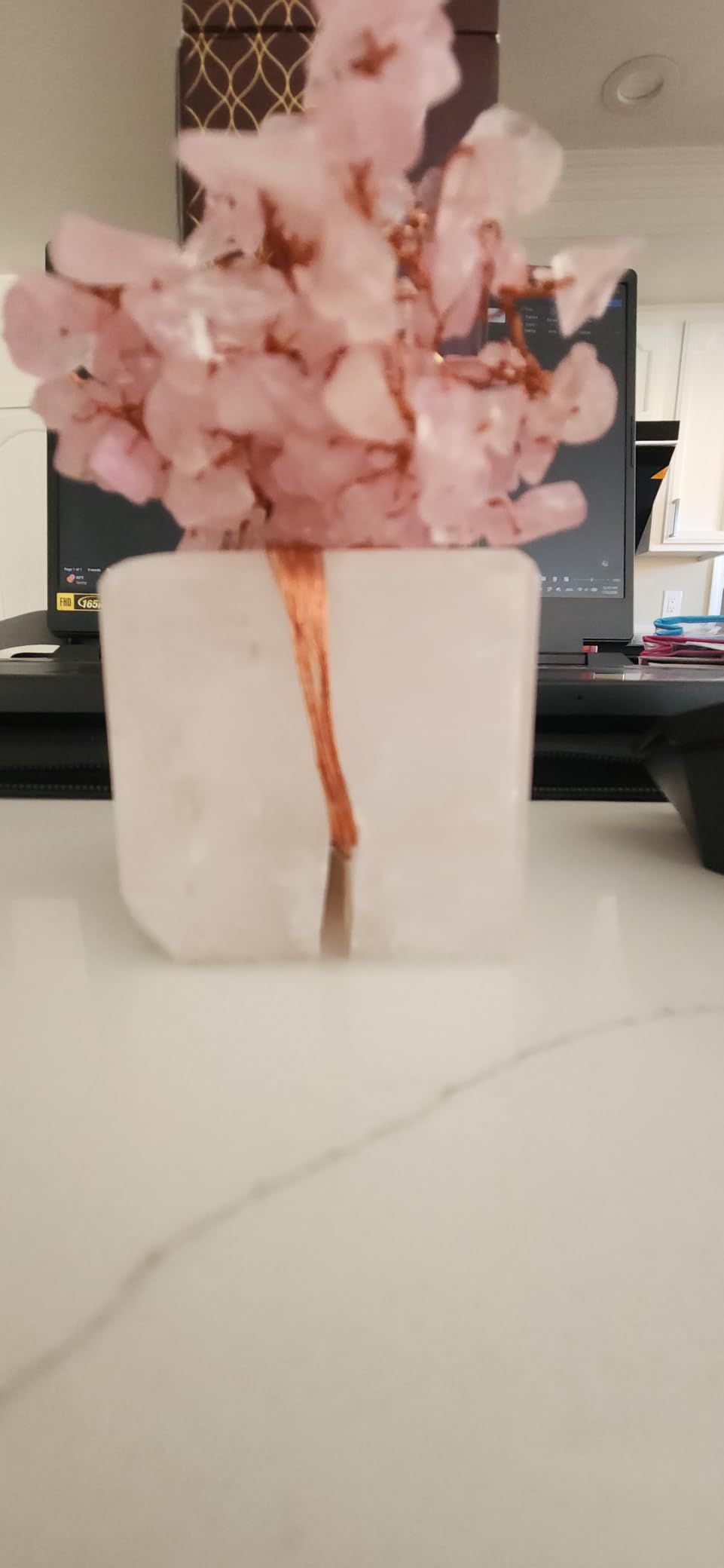 Chakra Tree of Life Birthday Gifts for Women, Mom, Sister, Friends, Handmade Healing Crystal Tree Brings Money, Positivity & Good Luck, Boho Home, Room and Office Desk Decor, Unique Return Gift customer photo 2