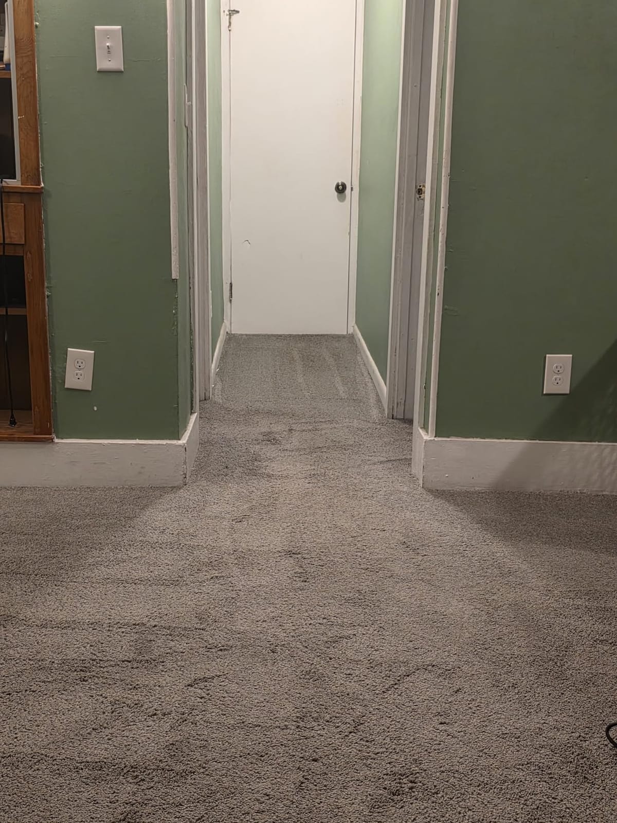 BISSELL ProHeat 2X Revolution Pet Turbo Upright Carpet Cleaner, 35799 customer photo 2