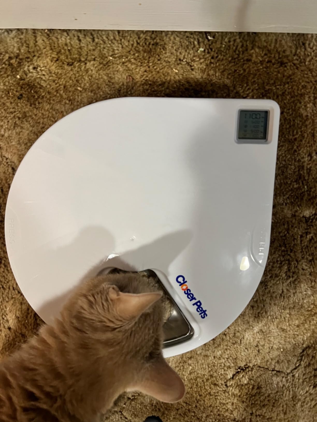 Cat Mate C500 5 Bowl Digital Timer-Controlled Automatic Pet Feeder - 5-Meal Feeder with Stainless Steel Bowl and Ice Packs, Wet or Dry Food, 5 Meals Up To 330 g Each, White customer photo 2