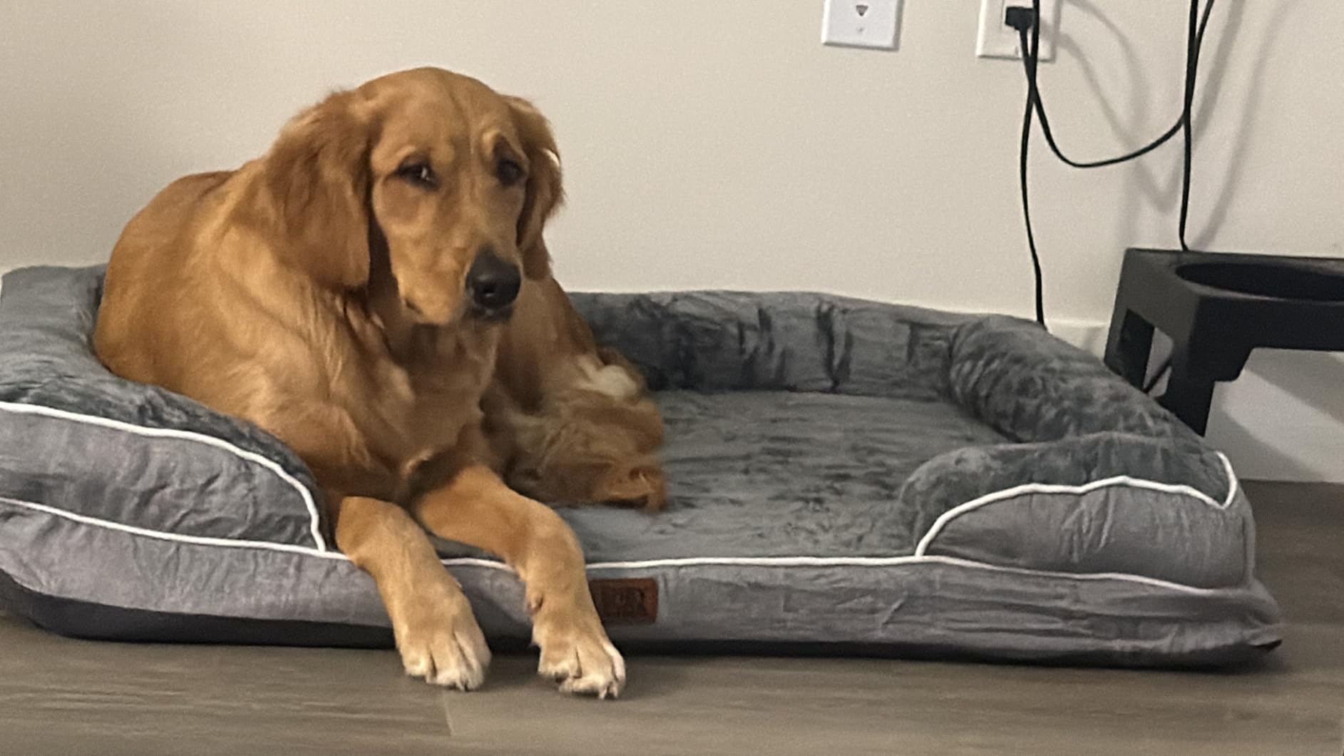 EHEYCIGA Orthopedic Extra Large Dog Bed, Waterproof Washable XL Pet Bed 44