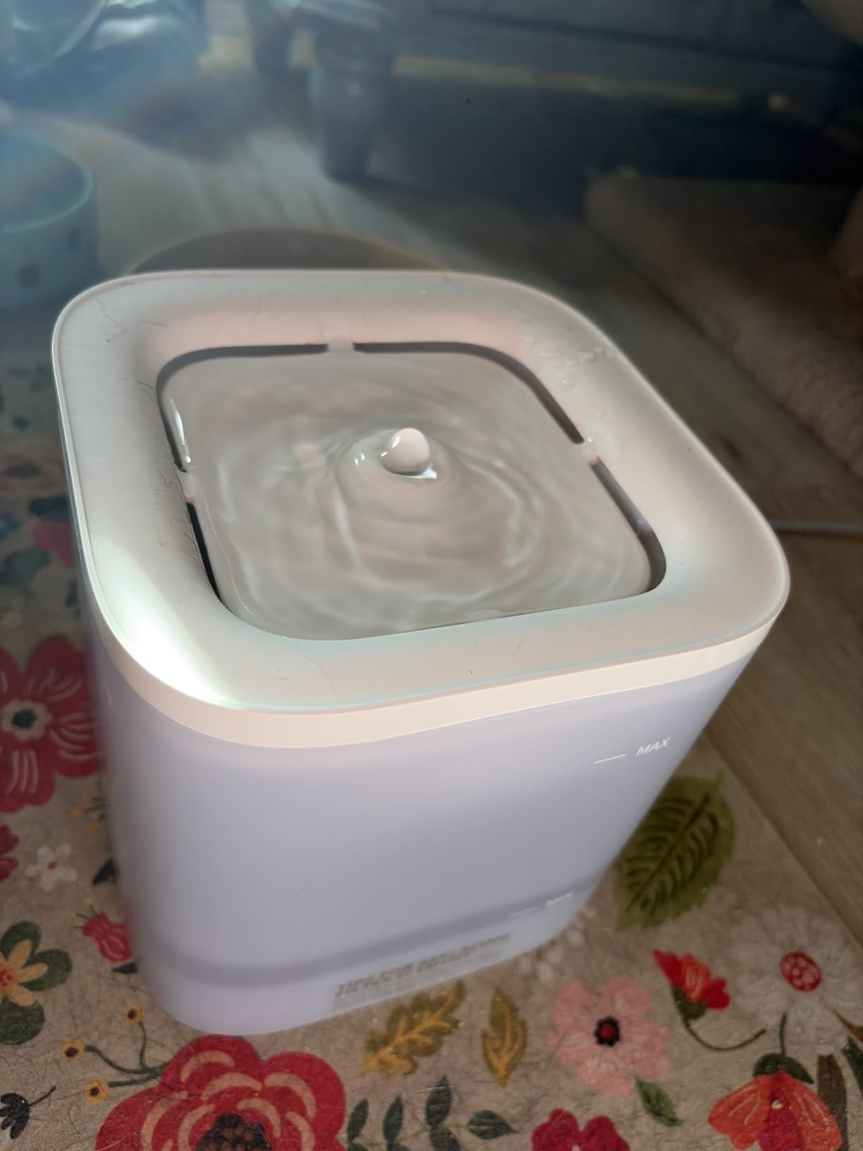 PETKIT Eversweet Solo SE Cat Water Fountain 65oz/1.85L Wireless Pump customer photo 1