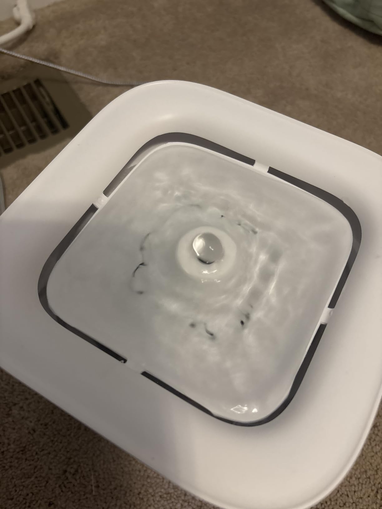 PETKIT Eversweet Solo SE Cat Water Fountain 65oz/1.85L Wireless Pump customer photo 2