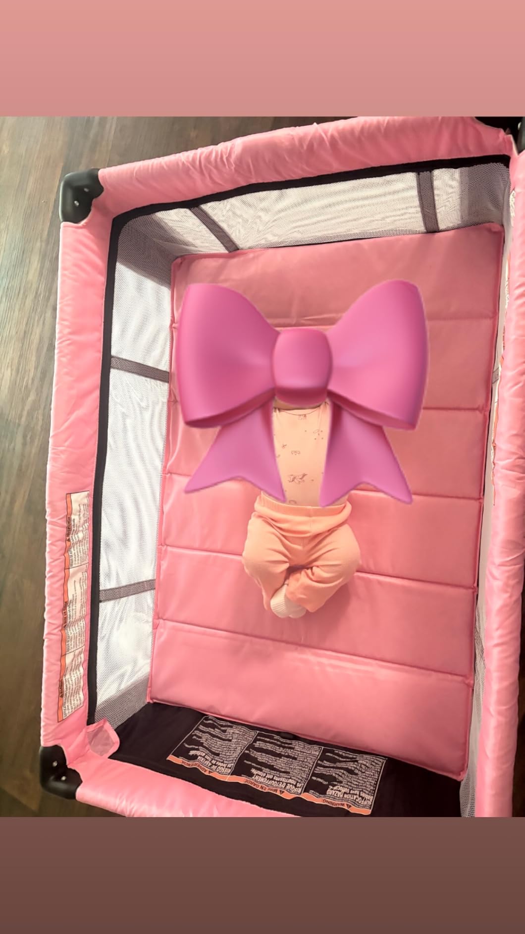 Dream On Me Zazzy Portable Baby Playard with Bassinet, Travel Carry Bag customer photo 1