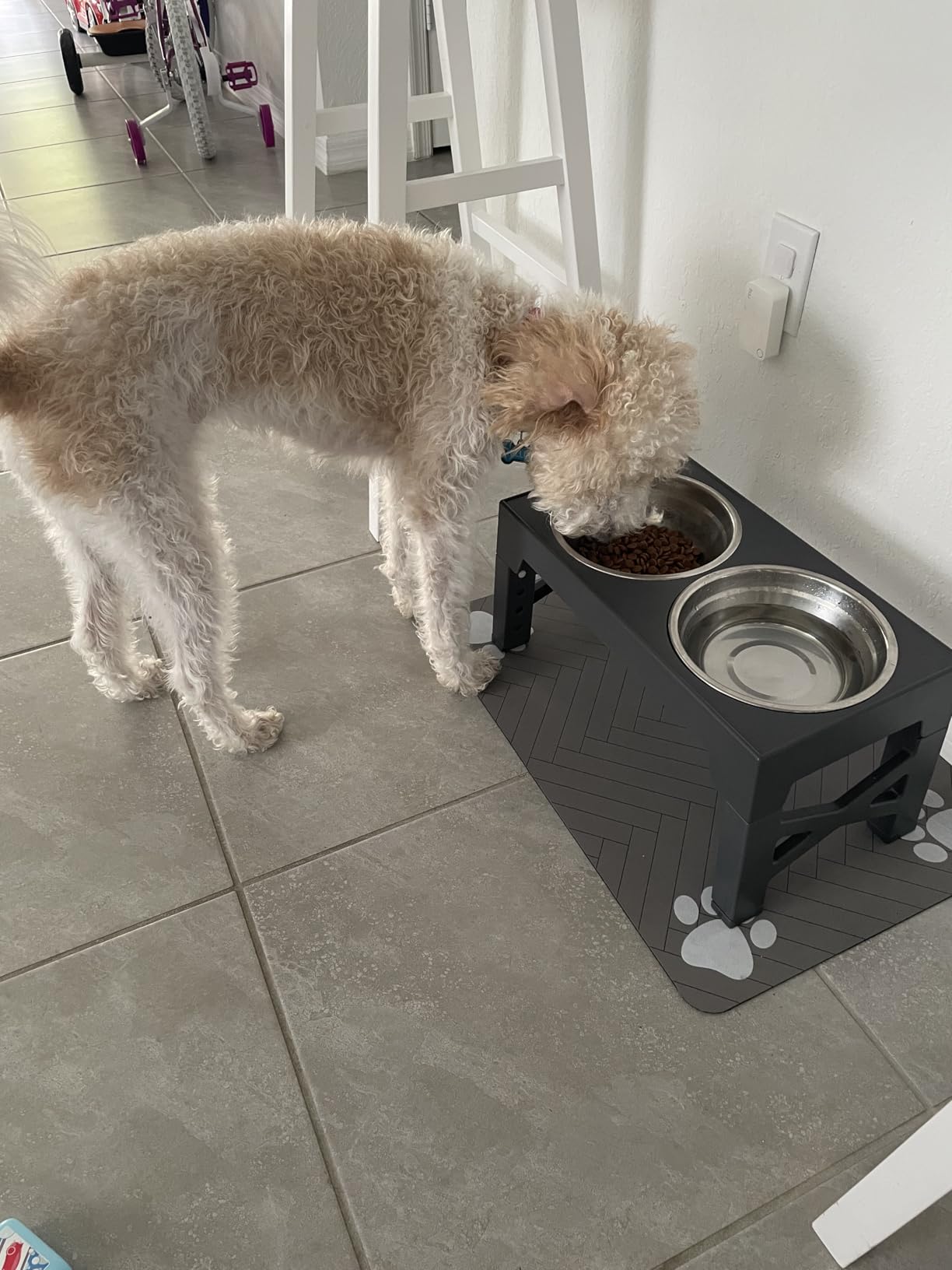 Niubya Elevated Dog Bowls with 2 Stainless Steel Dog Food Bowls, Raised Dog Bowl Adjusts to 5 Heights (3.15