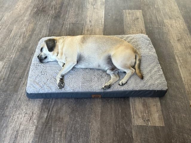 Sunheir Washable Orthopedic Large Dog Bed with Removable Cover, Pet Bed Mat customer photo 2
