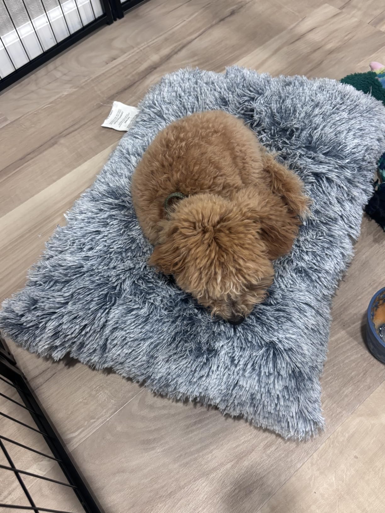 EHEYCIGA Fluffy Dog Crate Bed, Plush Extra Large Dog Pillow, Grey customer photo 1