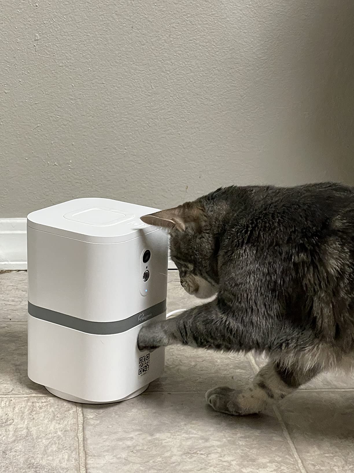 Petalk AI II Dog Camera Automatic Treat Dispenser, 5G WiFi Full HD Pet Camera with 180° Pan Full-Room View,Night Vision,Two Way Audio for Dogs and Cats,Compatible with Alexa (Support 5G WiFi) customer photo 2
