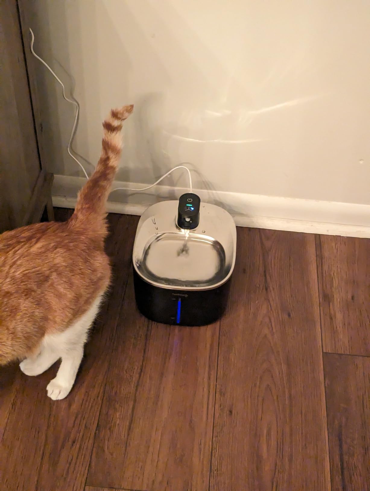 FEELNEEDY Wireless Cat Water Fountain Stainless Steel with Sensor, 4000mAh Battery Operated, 4L/135fl oz Pet Water Fountain for Cats Dogs, Ultra Quiet Cat Drinking Fountain with 2 Filters (YPD-C004S) customer photo 2
