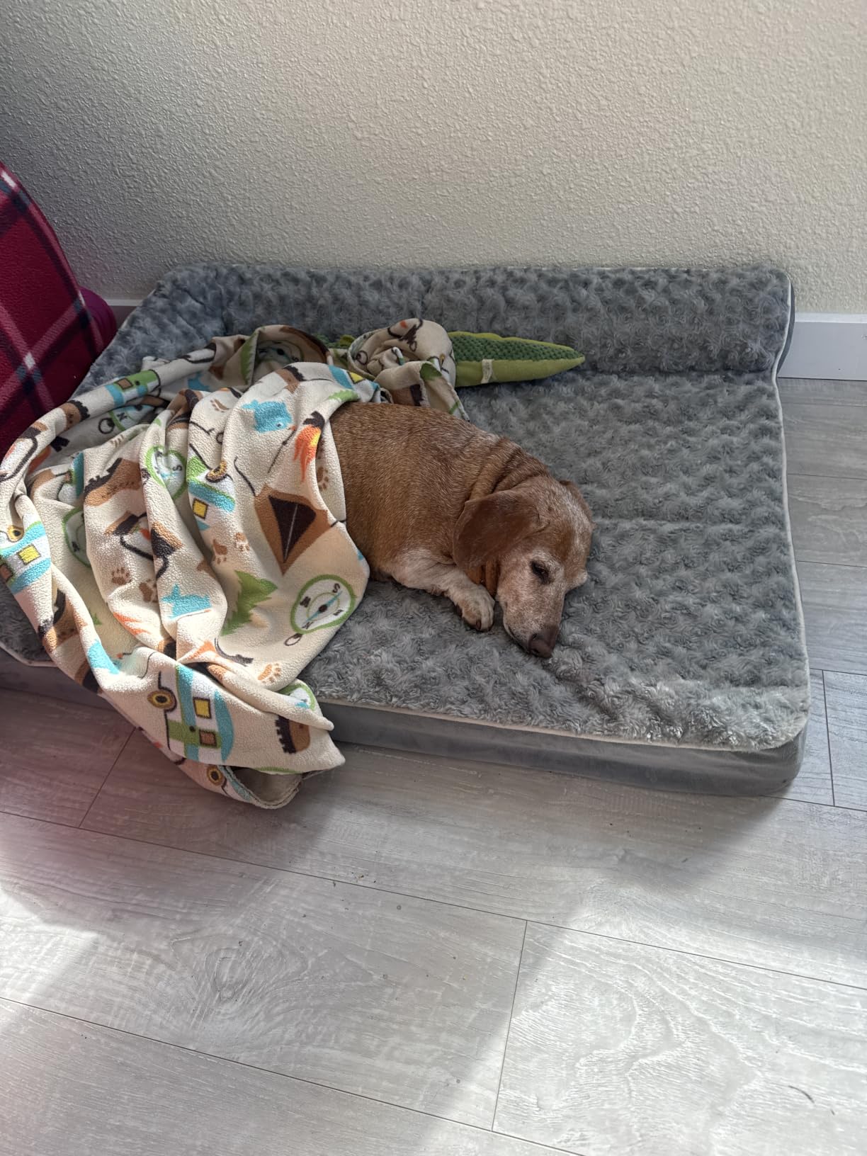 BFPETHOME Orthopedic Washable Dog Bed, Sleeping Couch for Large Senior Dogs customer photo 1