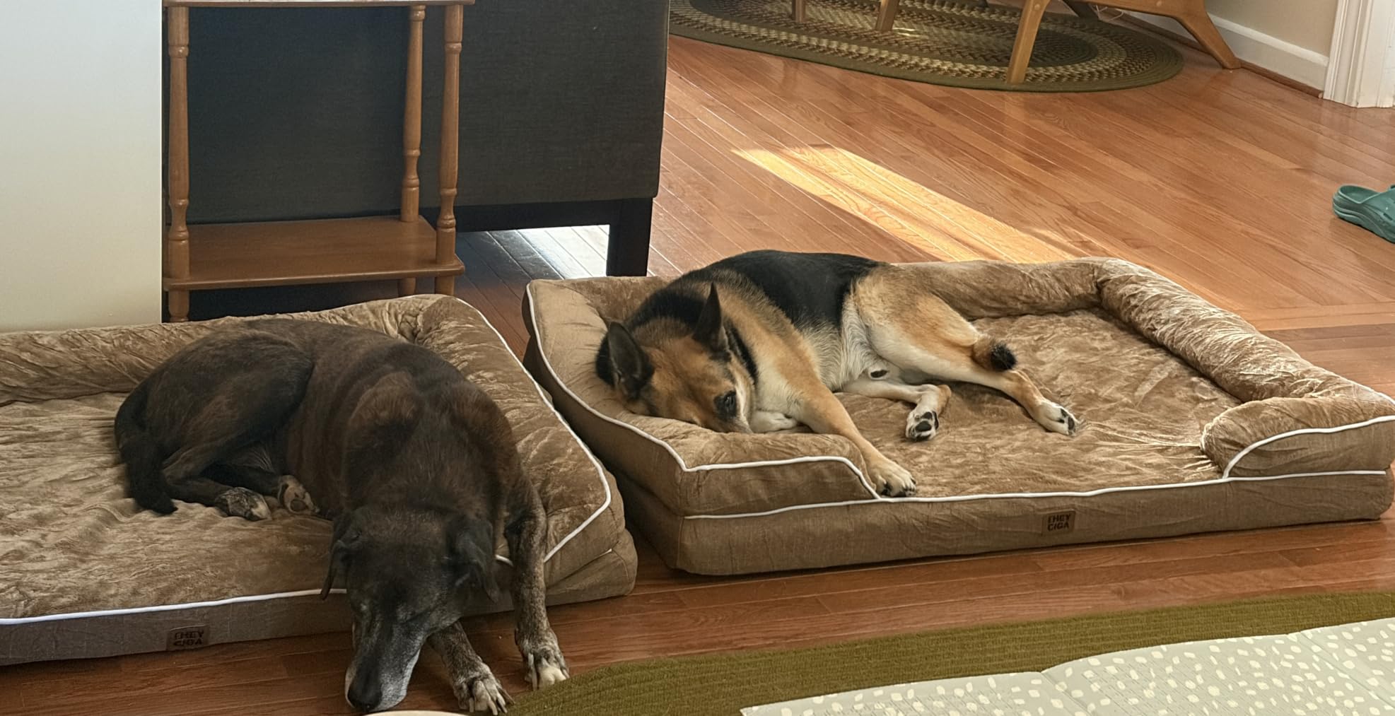EHEYCIGA Orthopedic Dog Beds for Extra Large Dogs, Waterproof Memory Foam XL Dog Bed with Sides, Non-Slip Bottom and Egg-Crate Foam Big Pet Couch Bed with Washable Removable Cover, Camel | Non-Slip Bottom and Egg-Crate Memory Foam Big Dog Couch Bed with Washable Removable Cover, Camel, 44Inch customer photo 2