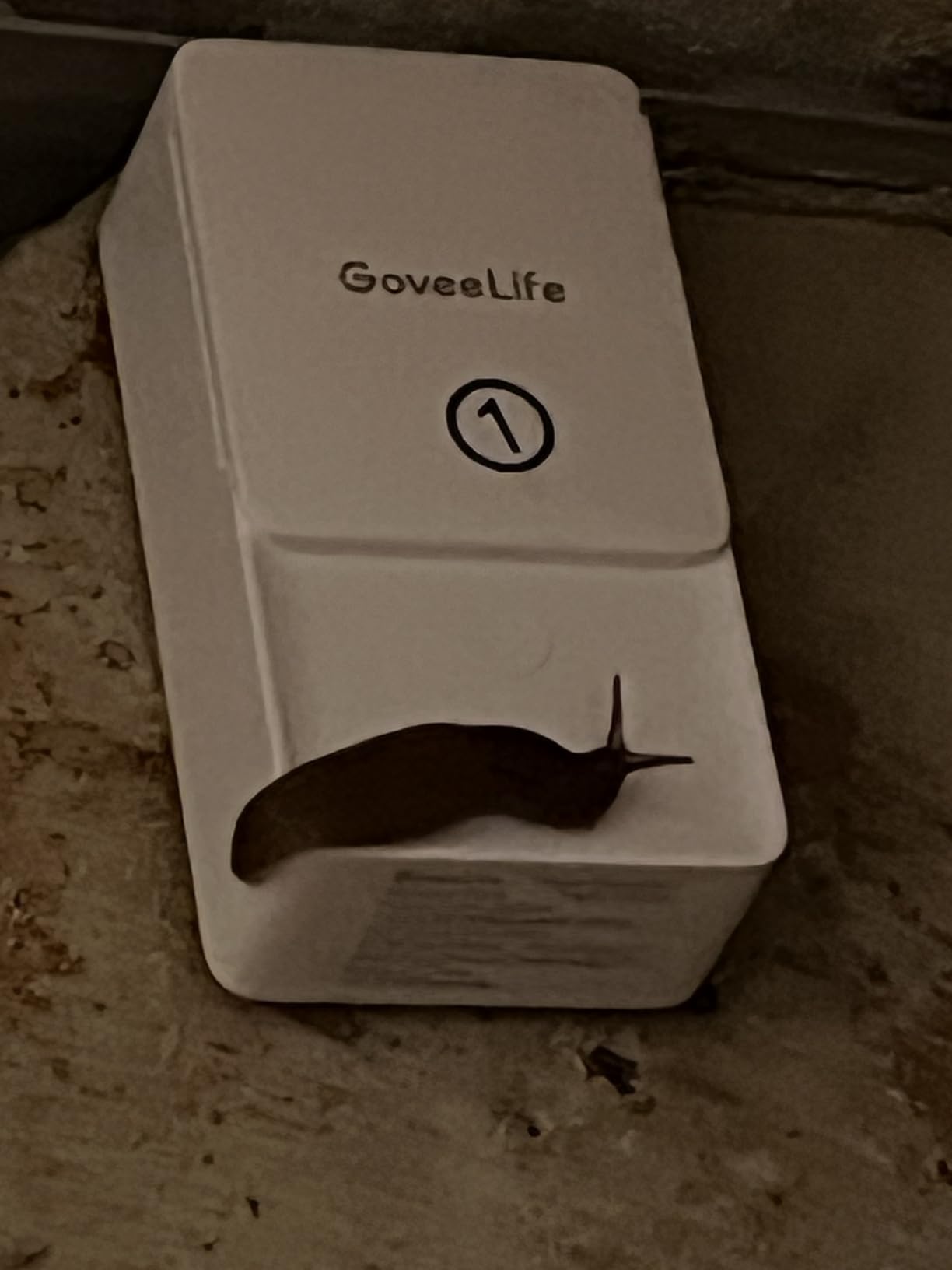 GoveeLife Smart Water Leak Detector 2 with 1968ft Ultra-Long Range, 4 Pack customer photo 1