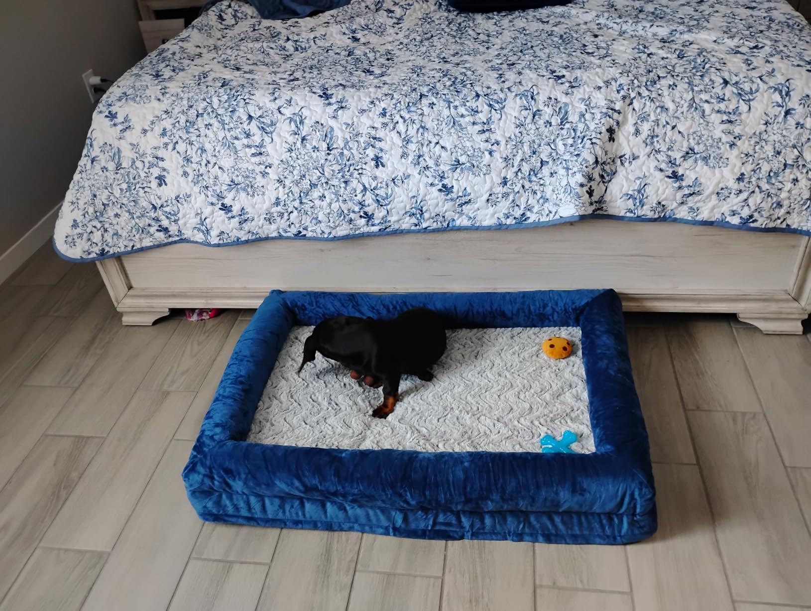 WNPETHOME XL Extra Large Orthopedic for Senior Dog Bed Comfy Sleeping customer photo 1