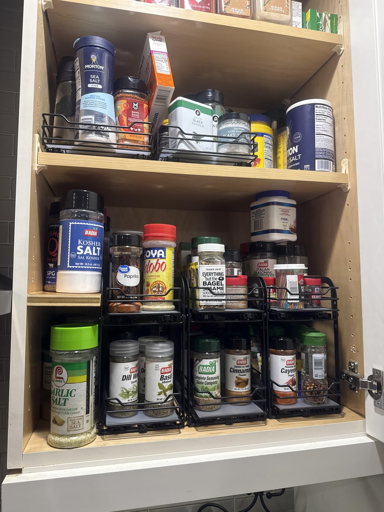 RCHYFEED 2 Tier Pull Out Spice Rack Organizer for Cabinet,9.5