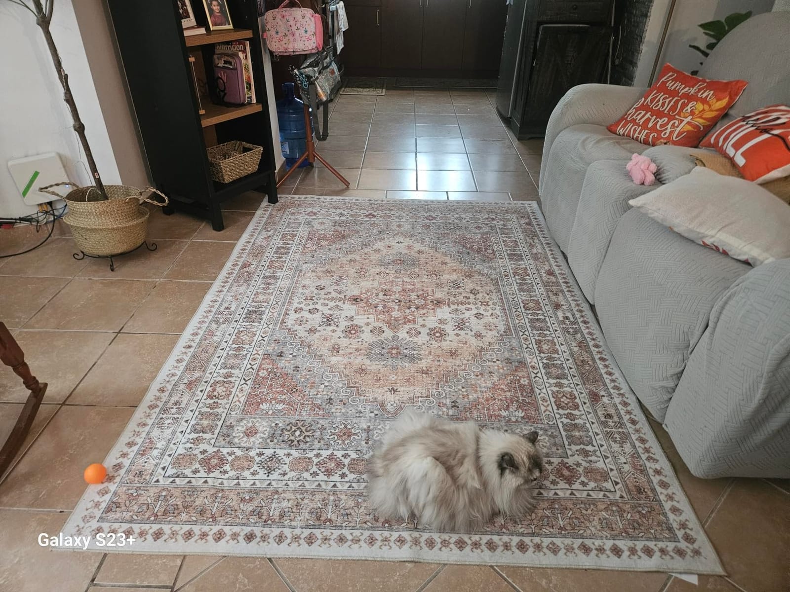 zesthome 8x10 Area Rugs for Living Room,Large Washable Rug,Orange customer photo 1